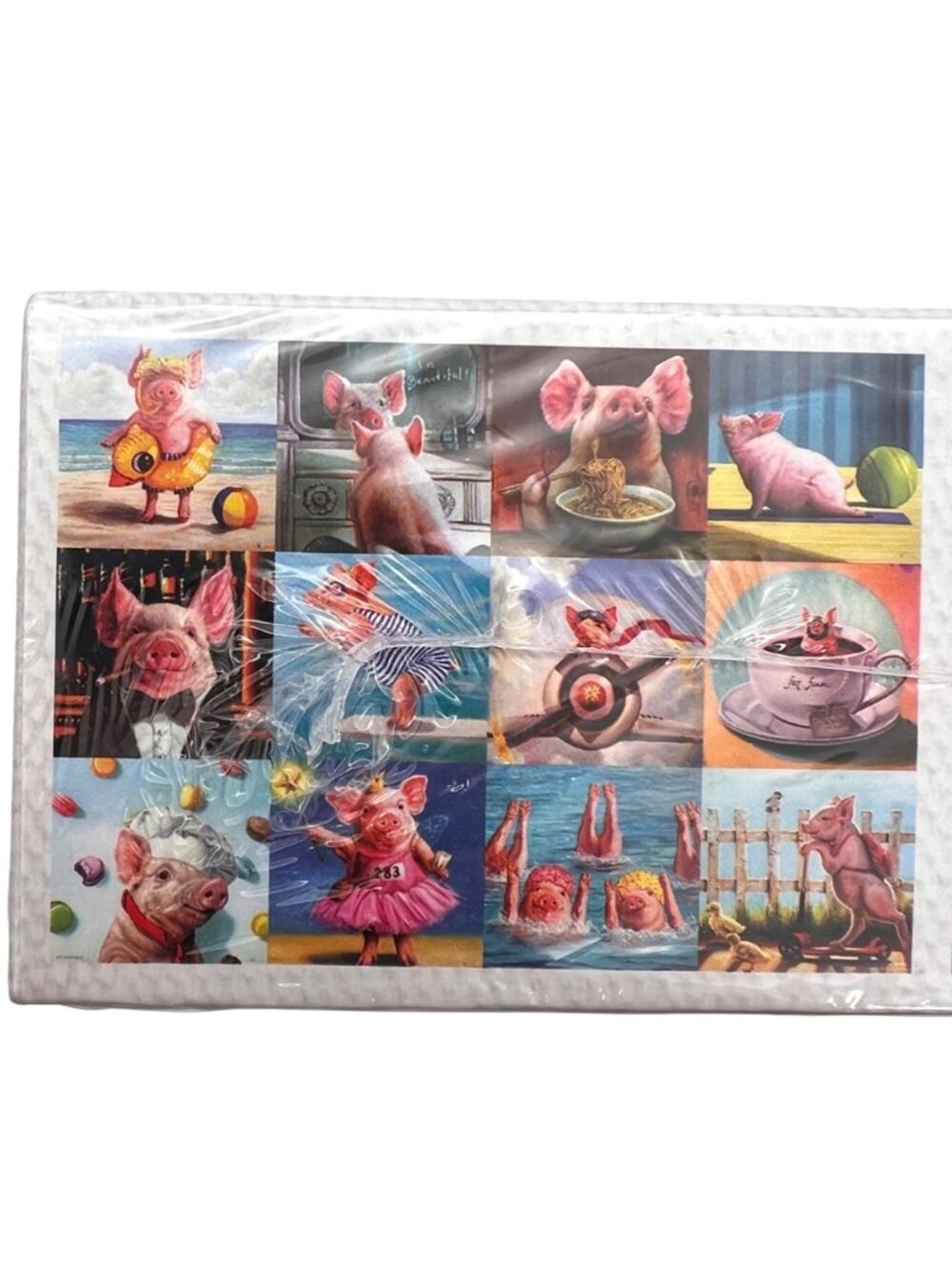 Funny Pigs 1000-Piece Jigsaw Puzzle By Eurographics Lucia Heffernan On Blueboard - Picture 5 of 12